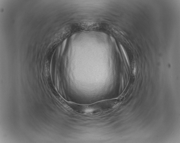 X0000071810515200607141614