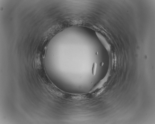 X0000071810516200607141613