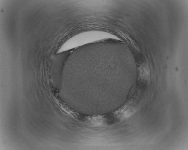 X0000071810517200607141613