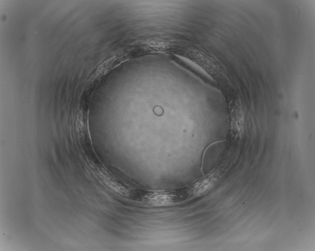 X0000071810518200607141613