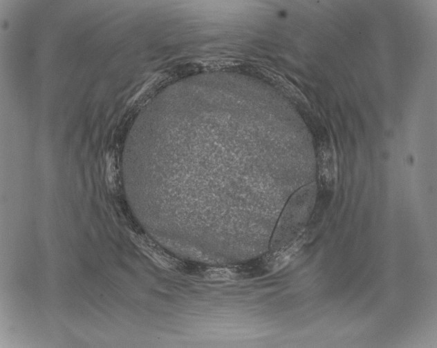 X0000071810519200607141613