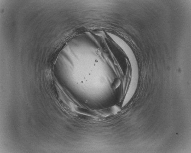 X0000071810521200607141613