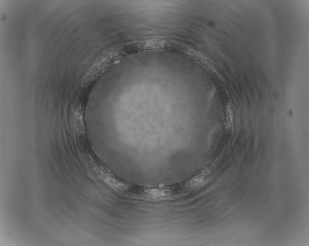 X0000071810522200607141613