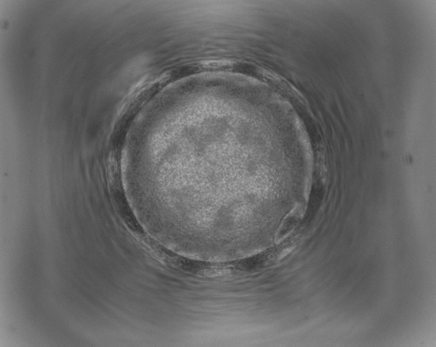 X0000071810523200607141613