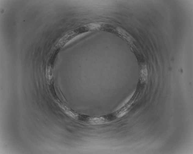 X0000071810525200607141613