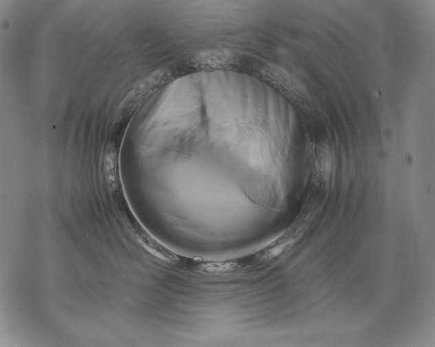 X0000071810526200607141613