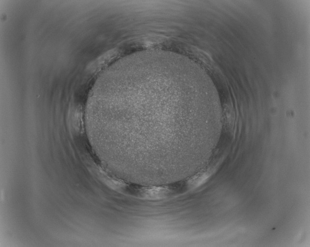 X0000071810527200607141613