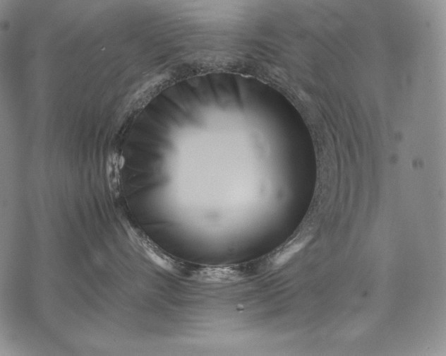 X0000071810528200607141613