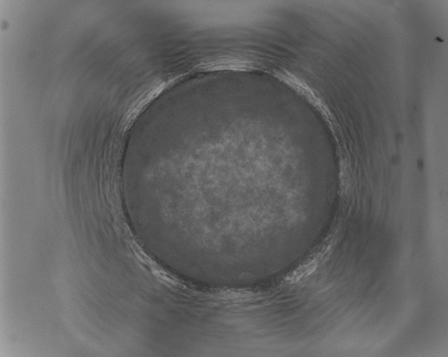 X0000071810529200607141612