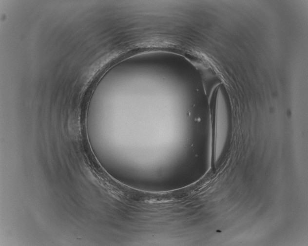 X0000071810531200607141613