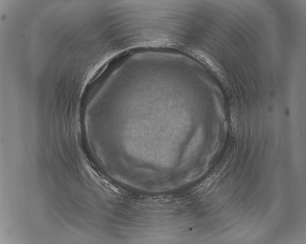 X0000071810532200607141613