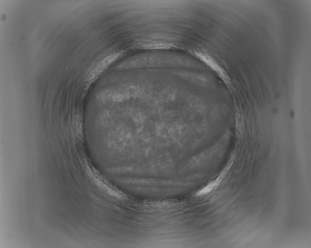 X0000071810533200607141613