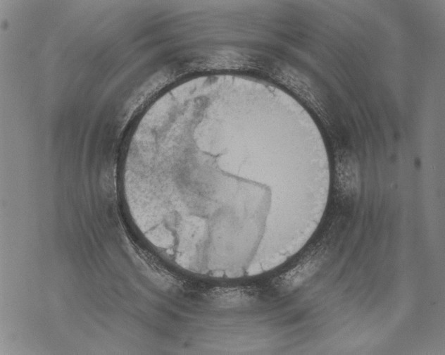 X0000071810534200607141613