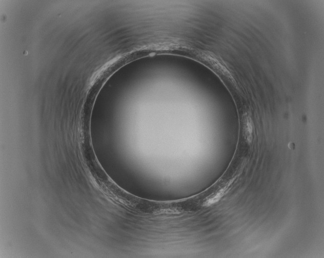 X0000071810536200607141613