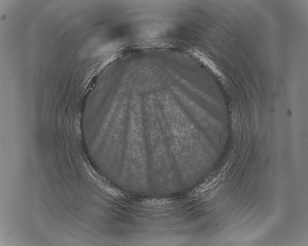 X0000071810537200607141613