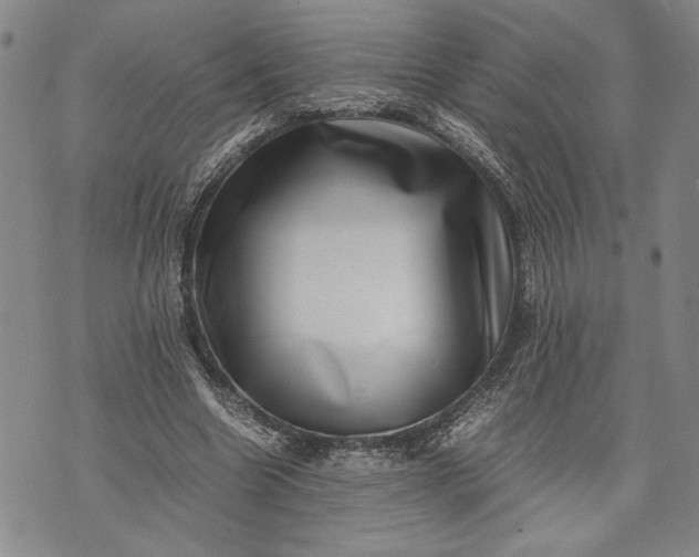 X0000071810538200607141613