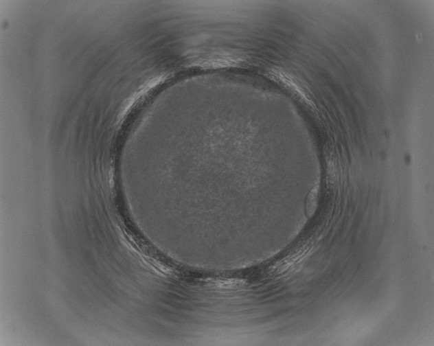 X0000071810539200607141613