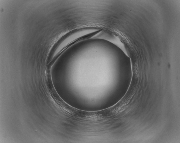 X0000071810540200607141613