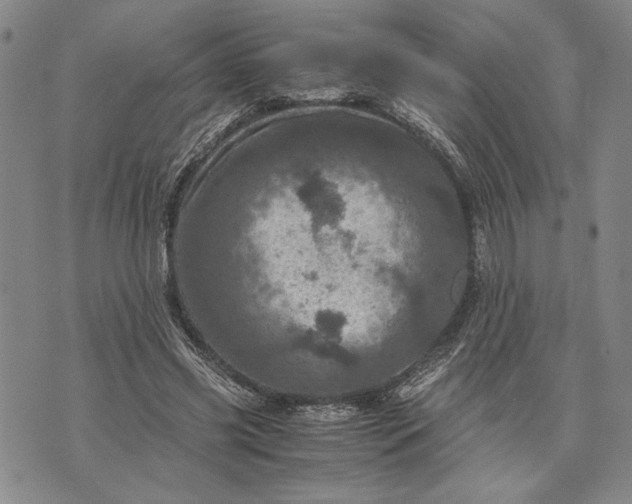 X0000071810541200607141613