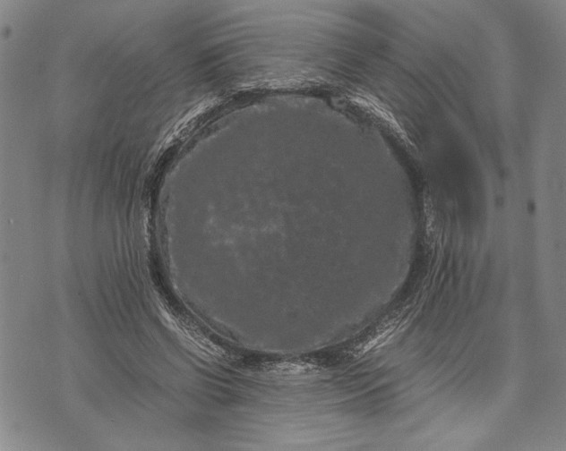 X0000071810542200607141613