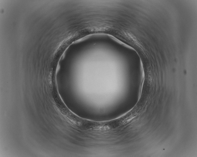 X0000071810543200607141613