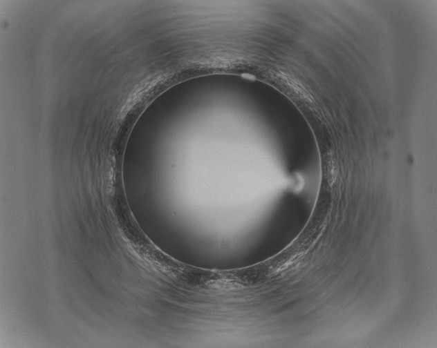 X0000071810544200607141613