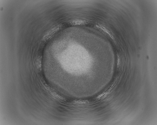 X0000071810545200607141613