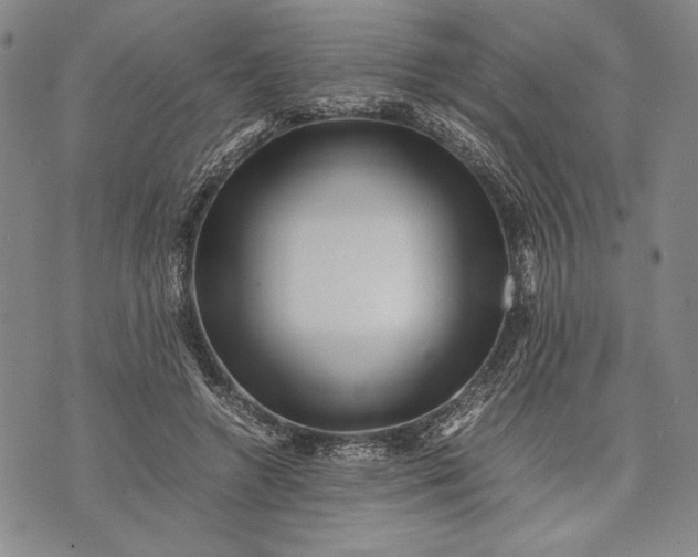 X0000071810546200607141613