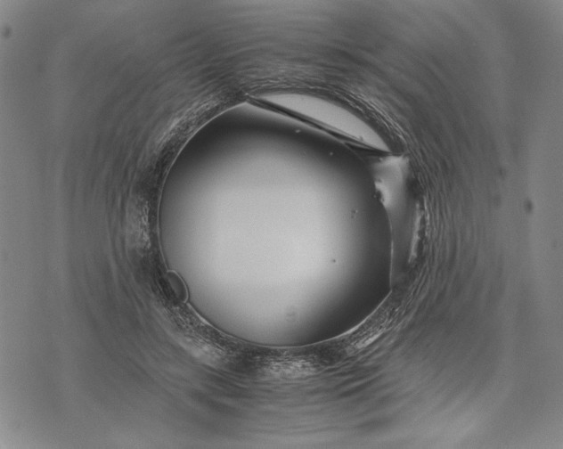 X0000071810547200607141613