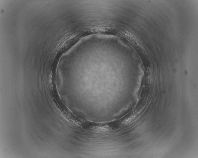 X0000071810548200607141613