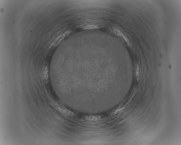 X0000071810549200607141613