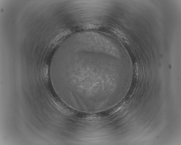 X0000071810550200607141613