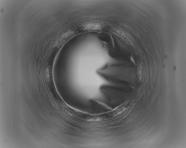 X0000071810551200607141613