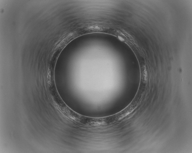 X0000071810552200607141613