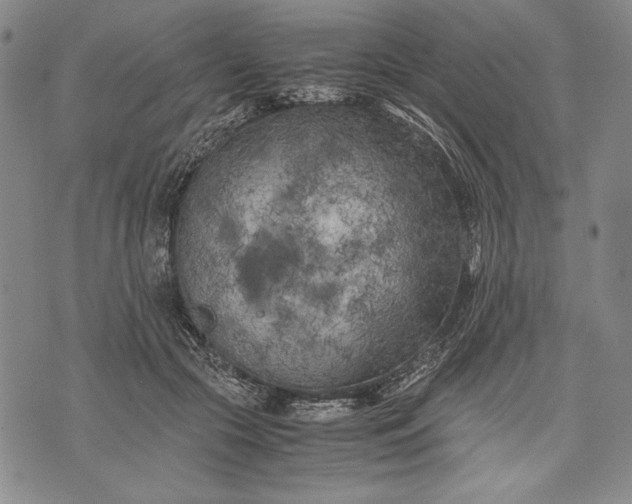 X0000071810553200607141613