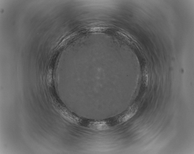 X0000071810554200607141613