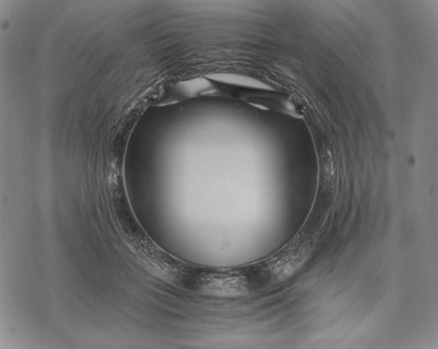 X0000071810555200607141613