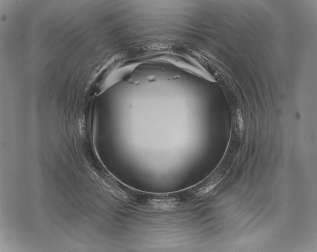 X0000071810556200607141613