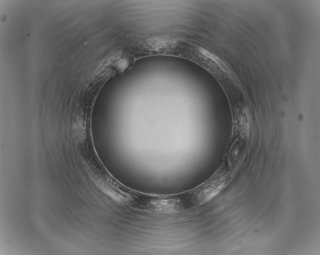 X0000071810558200607141613