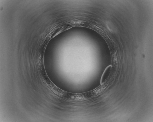 X0000071810559200607141613