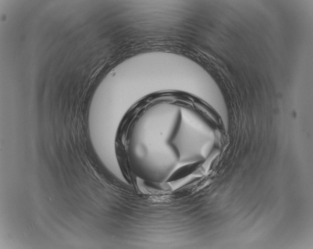 X0000071810560200607141613