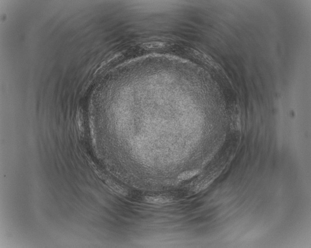 X0000071810561200607141613