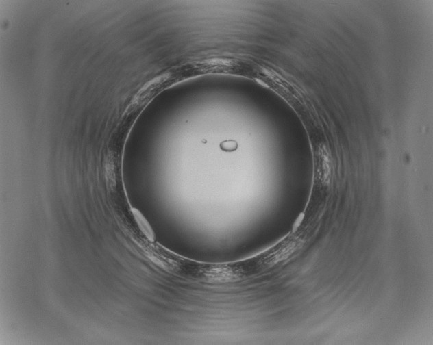 X0000071810562200607141613