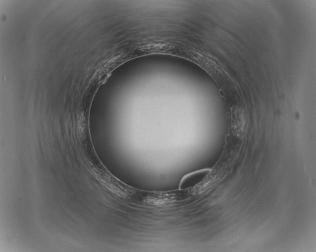 X0000071810563200607141613