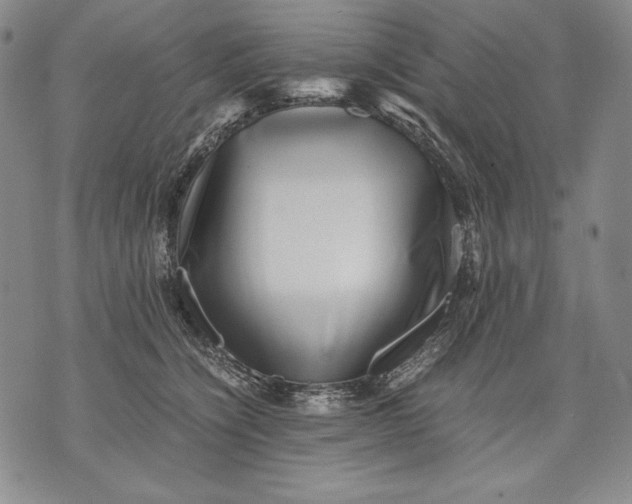 X0000071810564200607141613