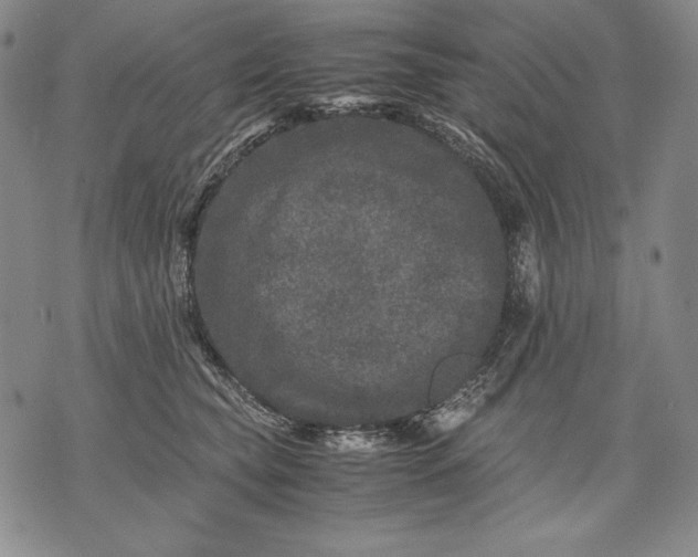 X0000071810565200607141613