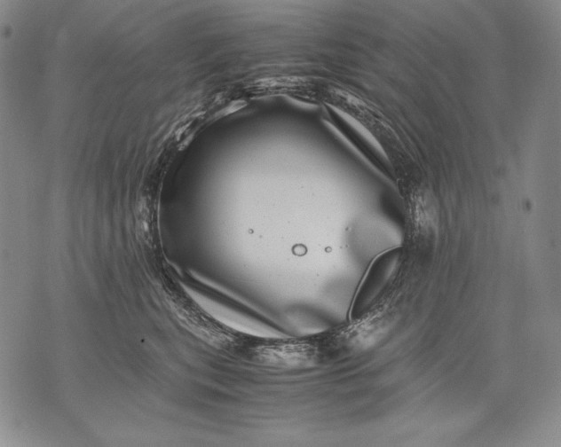 X0000071810567200607141613