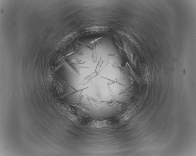 X0000071810569200607141613