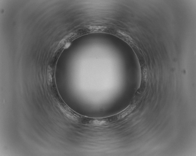 X0000071810570200607141613