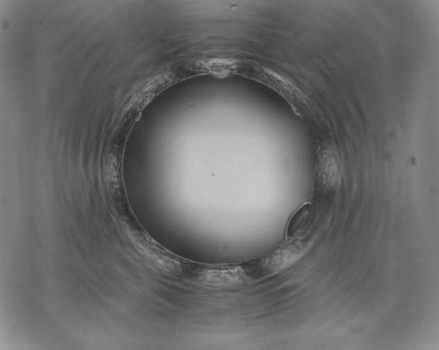 X0000071810571200607141613